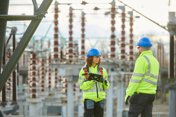 Best Generator Installation Services  in Elwood, IL